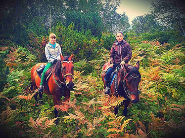 5b5a1d_31ce544e8f984c258922d77656a0331b~mv2_d_1680_1260_s_2